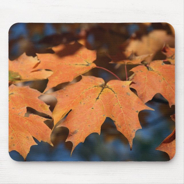 Autumn Leaves Mousepad (Vorne)
