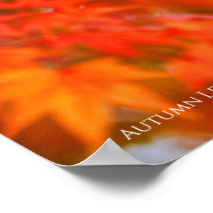 Autumn Leaves [Poster] Poster