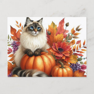 Autumn Leaves Pumpkins und Ragdoll Cat Postcard Postkarte