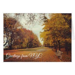 Autumn Leaves Riverside Park New York City NYC