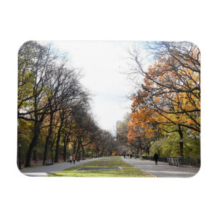 Autumn Leaves Riverside Park New York City NYC Magnet