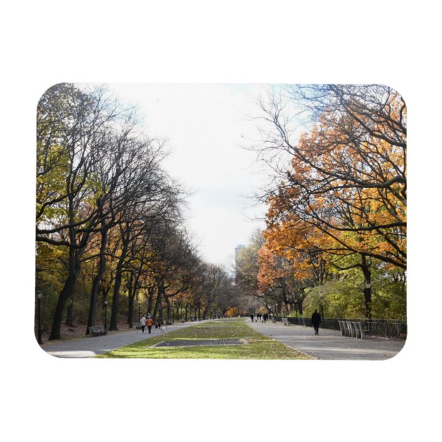 Autumn Leaves Riverside Park New York City NYC Magnet (Horizontal)