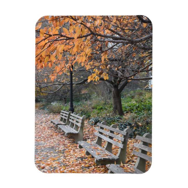 Autumn Leaves Riverside Park New York City NYC Magnet (Vertikal)