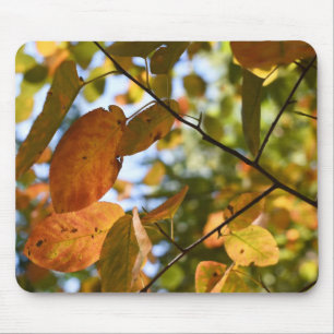 Autumn Leaves Riverside Park New York City NYC Mousepad