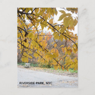 Autumn Leaves Riverside Park New York City NYC Postkarte