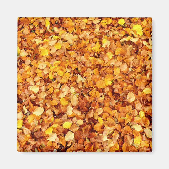Autumn Leaves Square Magnet (Vorne)