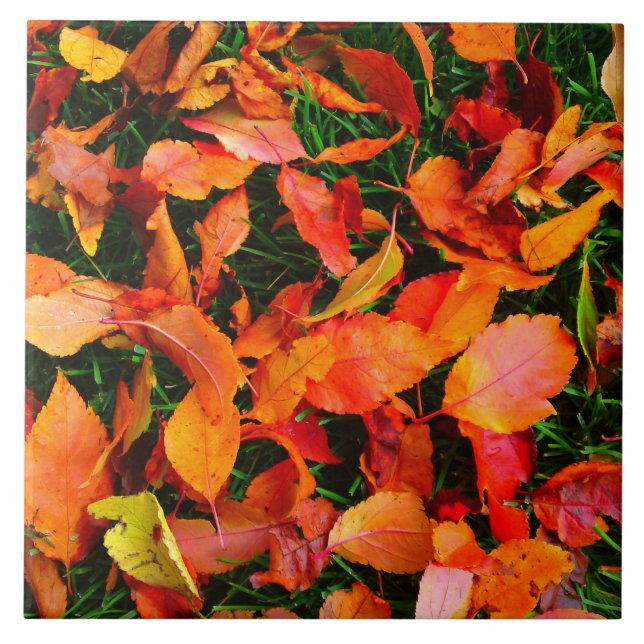 Autumn Leaves Tile Fliese (Vorderseite)