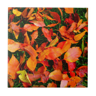 Autumn Leaves Tile Fliese