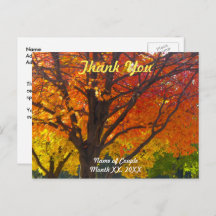 Autumn Leaves Wedding Danke Postcard