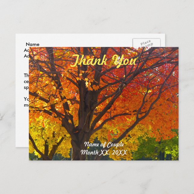 Autumn Leaves Wedding Danke Postcard Postkarte (Vorne/Hinten)