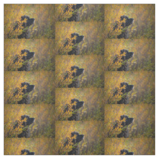 Autumn Leonberger Stoff