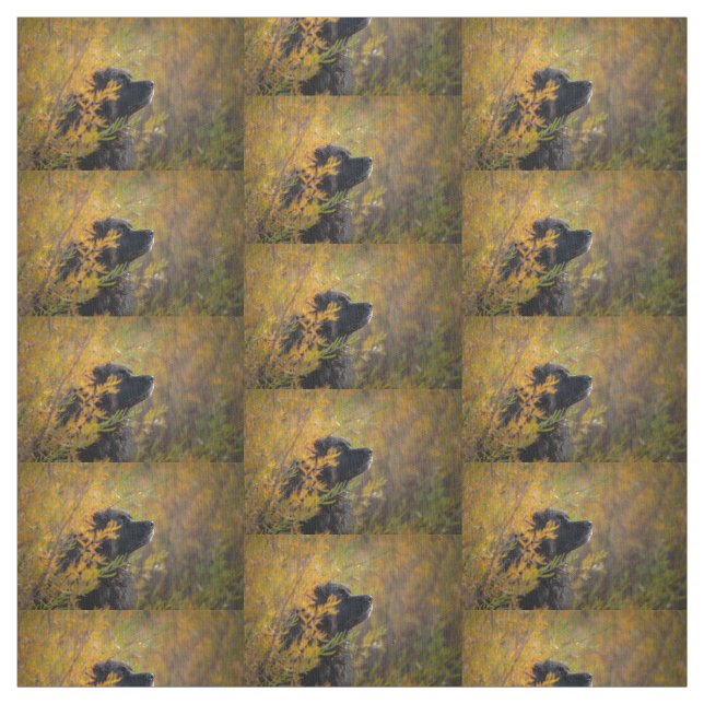 Autumn Leonberger Stoff (Muster)