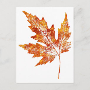 "Autumn Maple #1" - Postkarte für Landstraßen