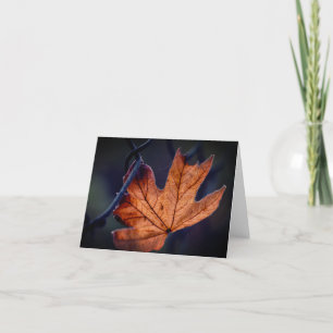 Autumn Maple Leaf geklappt Dankeschön Karte