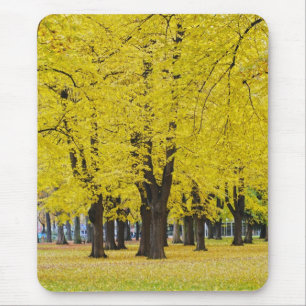 Autumn Mousepad