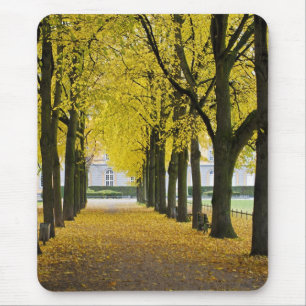 Autumn Mousepad