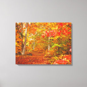 "AUTUMN PALETTE"/LEAF-STREWN PFAD DURCH FALL FOL LEINWANDDRUCK