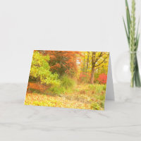 "AUTUMN PALETTE" (WALD IN FARBE/FOTOG)