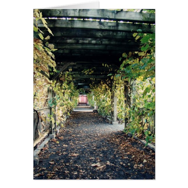 Autumn Pergola (Vorne)