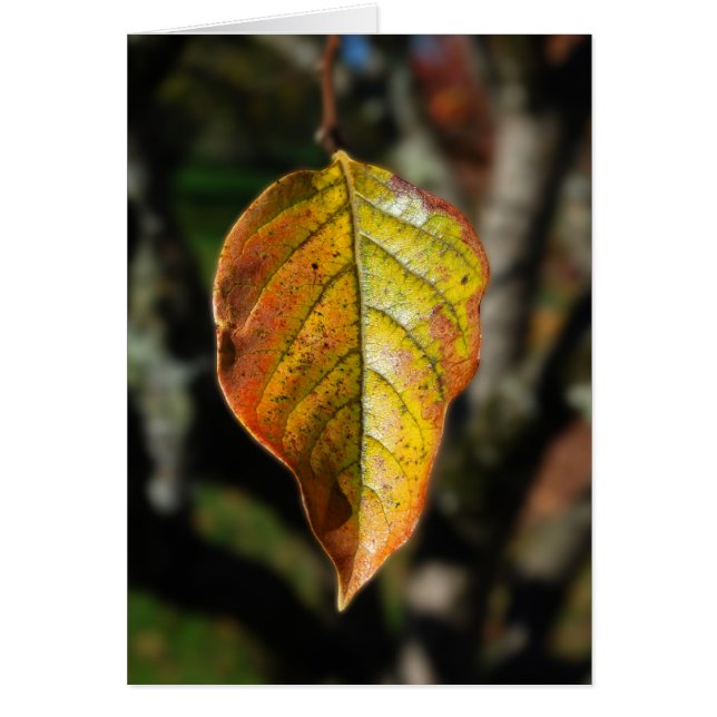 Autumn Persimmon Leaf (Vorne)
