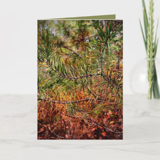 Autumn Pine Needles Karte