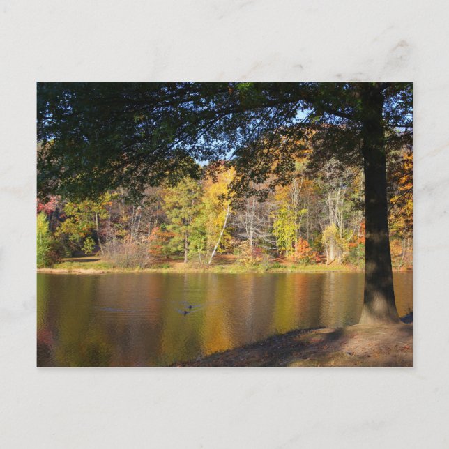 Autumn Post Card Rockwell Park Bristol CT Postkarte (Vorderseite)