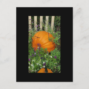 Autumn Pumpgarden garden Post Card Postkarte
