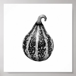 Autumn Pumpkin Ink Stipple Zeichnend Poster