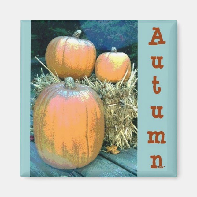 Autumn Pumpkin Magnet (Vorne)