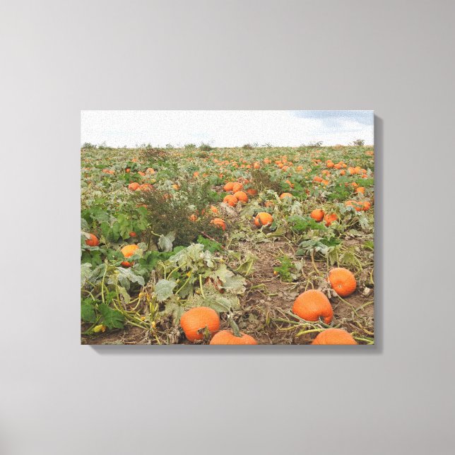 Autumn Pumpkin Patch Fotografie Leinwanddruck (Vorderseite)