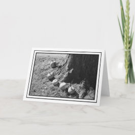 Autumn Pumpkins Blank Grußkarte Karte