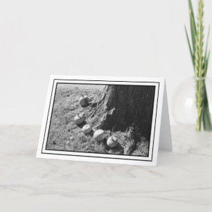 Autumn Pumpkins Blank Grußkarte Karte