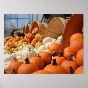 Autumn Pumpkins Poster