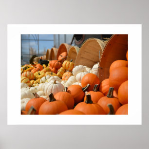 Autumn Pumpkins Poster