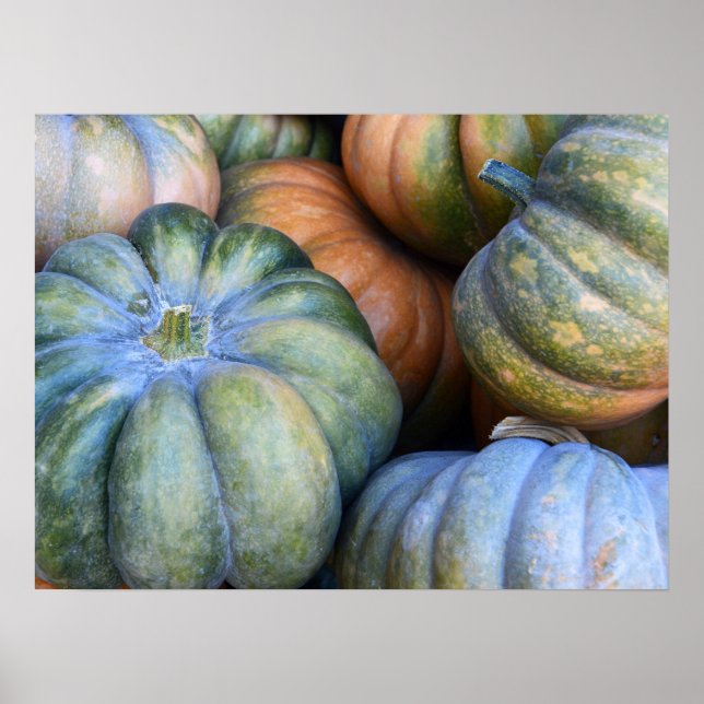 Autumn Pumpkins Poster (Vorne)