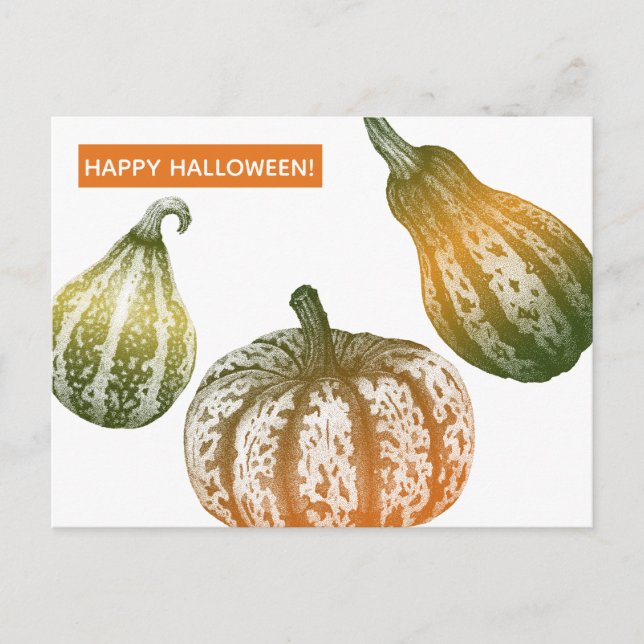 Autumn Pumpkins Stipple Zeichnend Postcard Postkarte (Vorderseite)