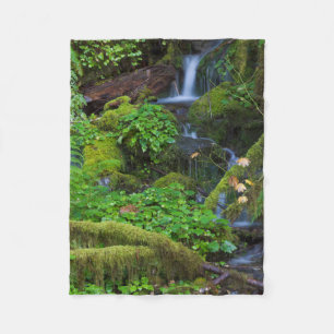 Autumn Rainforest Olympic National Park Fleecedecke