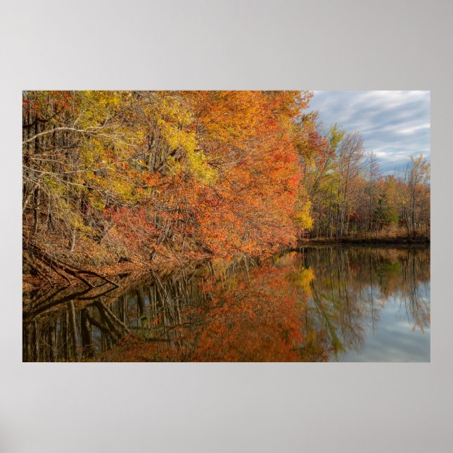 Autumn Reflections  Poster (Vorne)