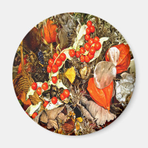 AUTUMN-REGELUNG ~ Umfang Magnet