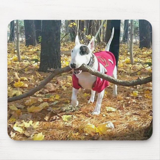 Autumn Rex mousepad (Vorne)