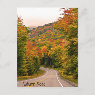 Autumn Road Postcard Postkarte