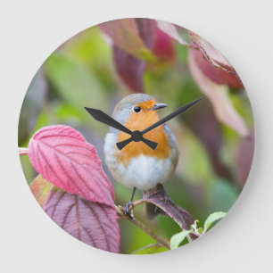 Autumn Robin Clock with red leaves in fall Große Wanduhr