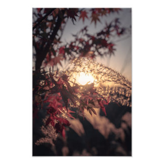 Autumn Scenery in Japan　2023 Fotodruck