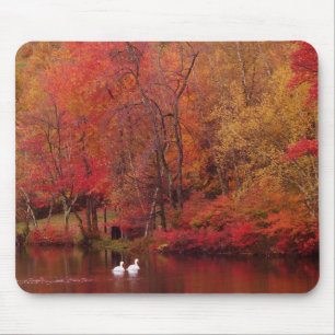 Autumn See Mousepad
