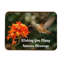 Autumn Sessings Hummingbird Flexible Magnet