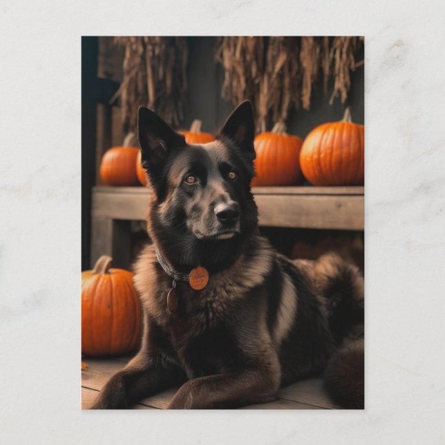 Autumn Shepherd Postkarte (Vorderseite)