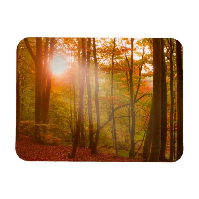Autumn Splendor Magnet (Horizontal)