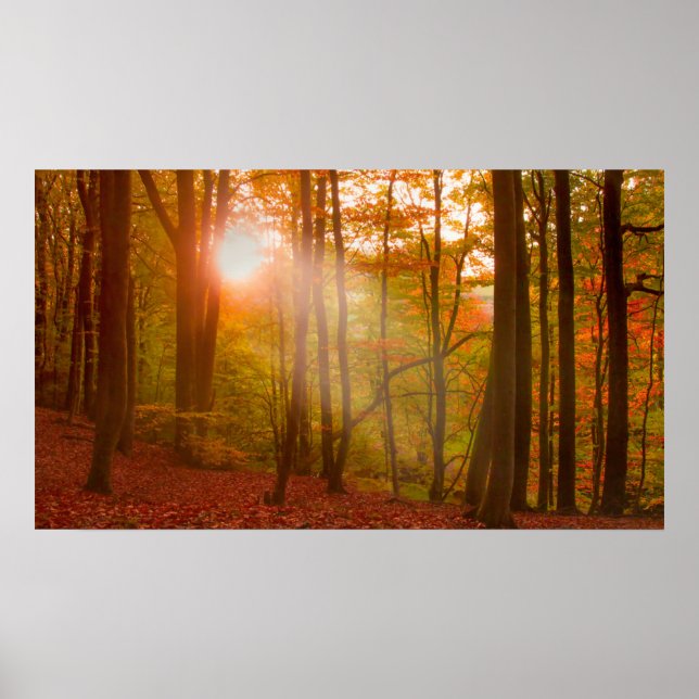 Autumn Splendor Poster (Vorne)