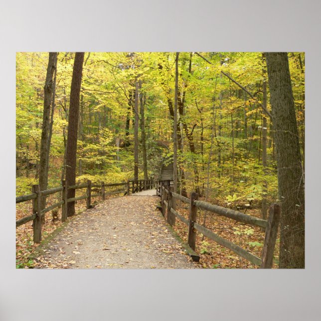 Autumn Stillness Poster (Vorne)