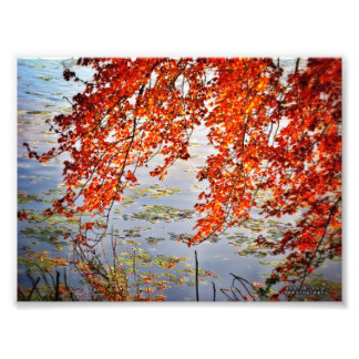 Autumn Sunlight #2 Fotodruck